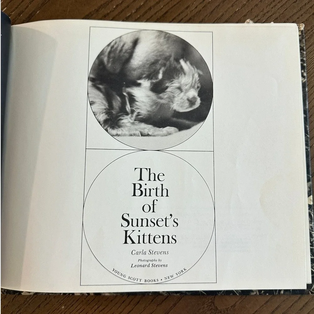 Birth of Sunset's Kittens Carla Stevens 1969 Vintage Childrens Book Cat Photo